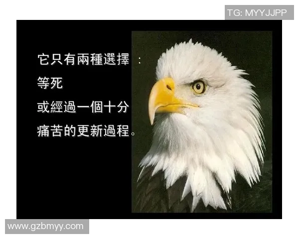 李静：从绿茵场到人生舞台的深度对话与启示